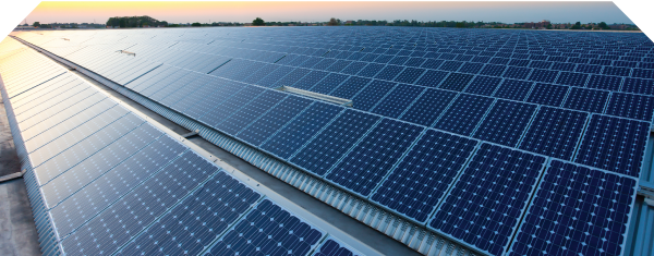 Tấm pin mặt trời