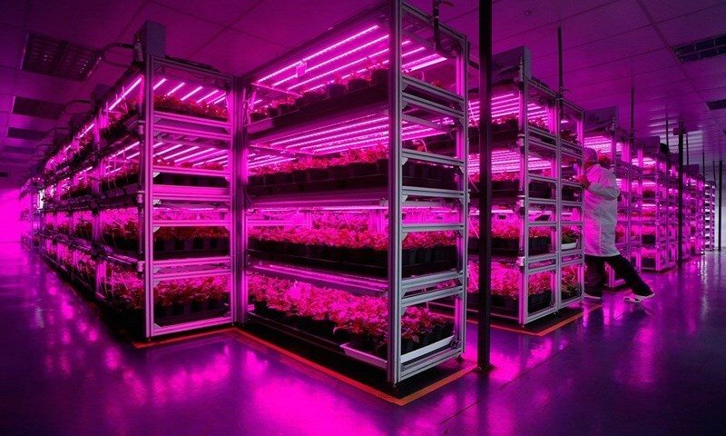 Sai lần khi bạn sử dụng đèn led quang hợp năng lượng mặt trời