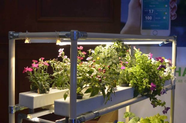 Đèn Led giúp cây quang hợp