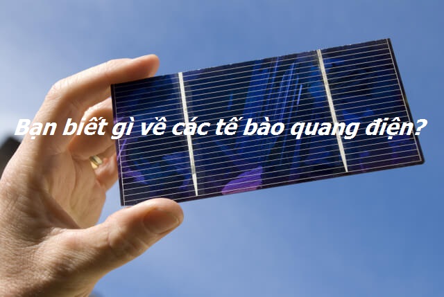 cells solar