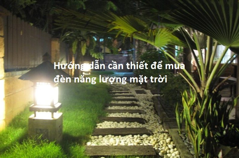 Hướng dẫn cần thiết để mua đèn năng lượng mặt trời