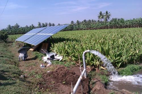máy bơm năng lượng mặt trời cho nông nghiệp