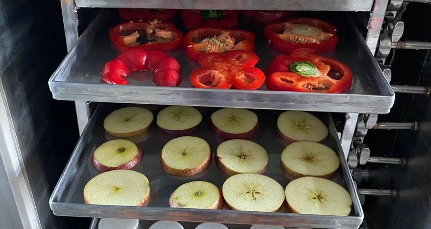 Bảo quản và an toàn thực phẩm