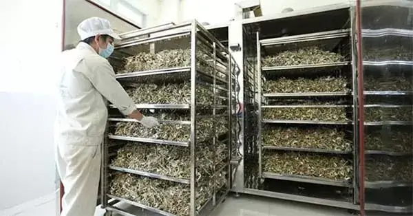giữ đuọce chất lượng thực phẩm