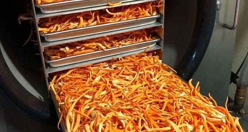 Lợi ích của việc sử dụng máy sấy thực phẩm tại nhà
